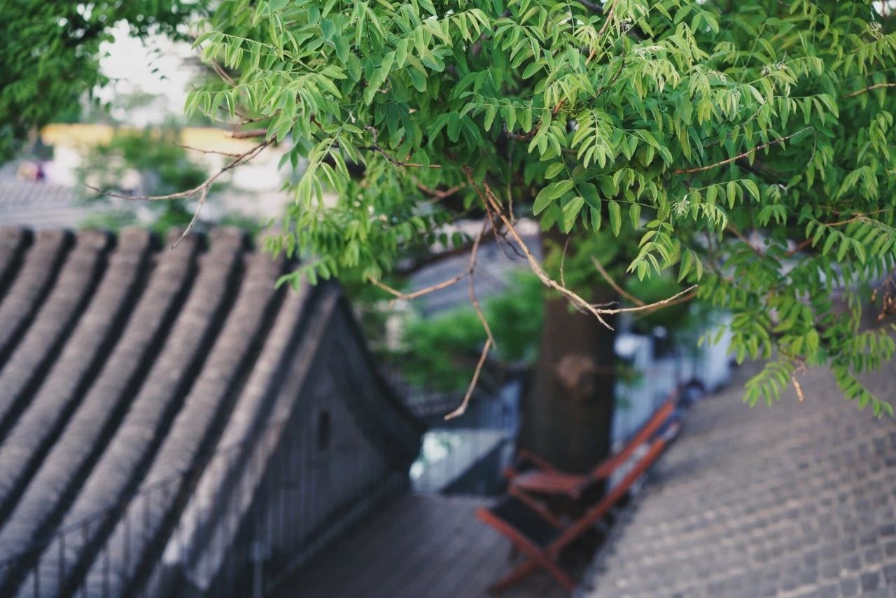 北京·有術，網紅建筑師青山周平的新作