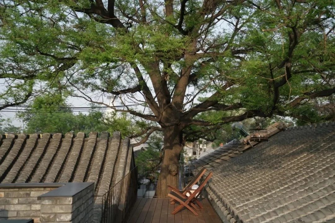 北京·有術，網紅建筑師青山周平的新作