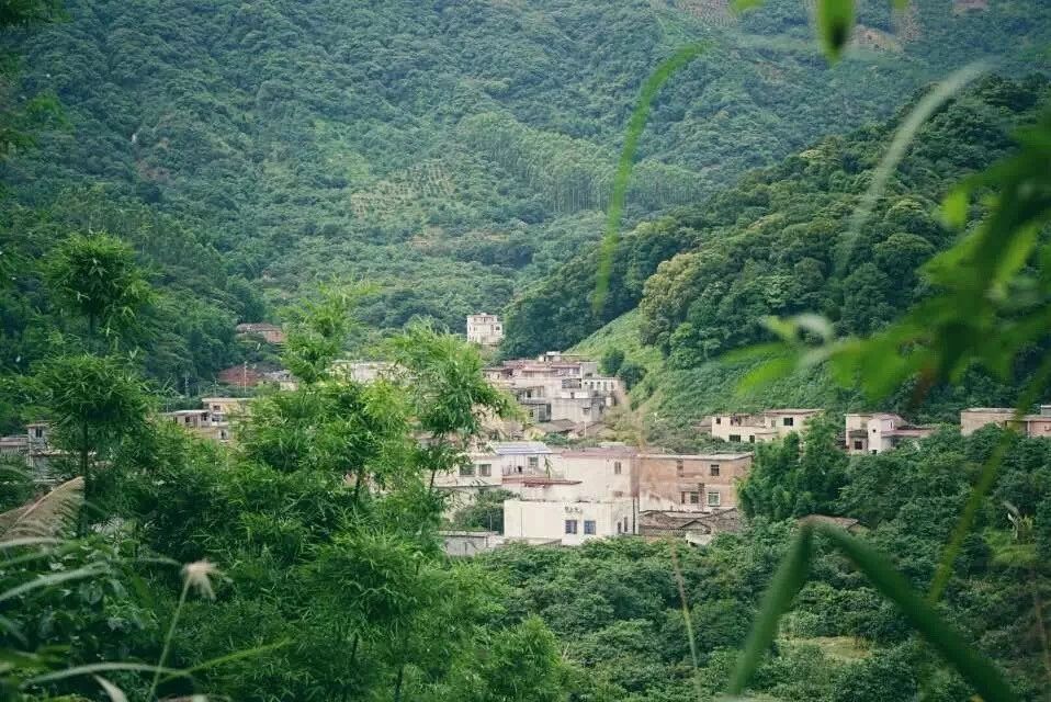 廣州·菁木山舍，有個木屋開滿鮮花看花開花落