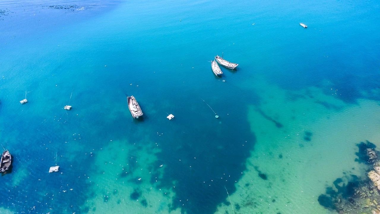 青島·瑞宿海棲，等你來就讓瑞宿帶你環游青島