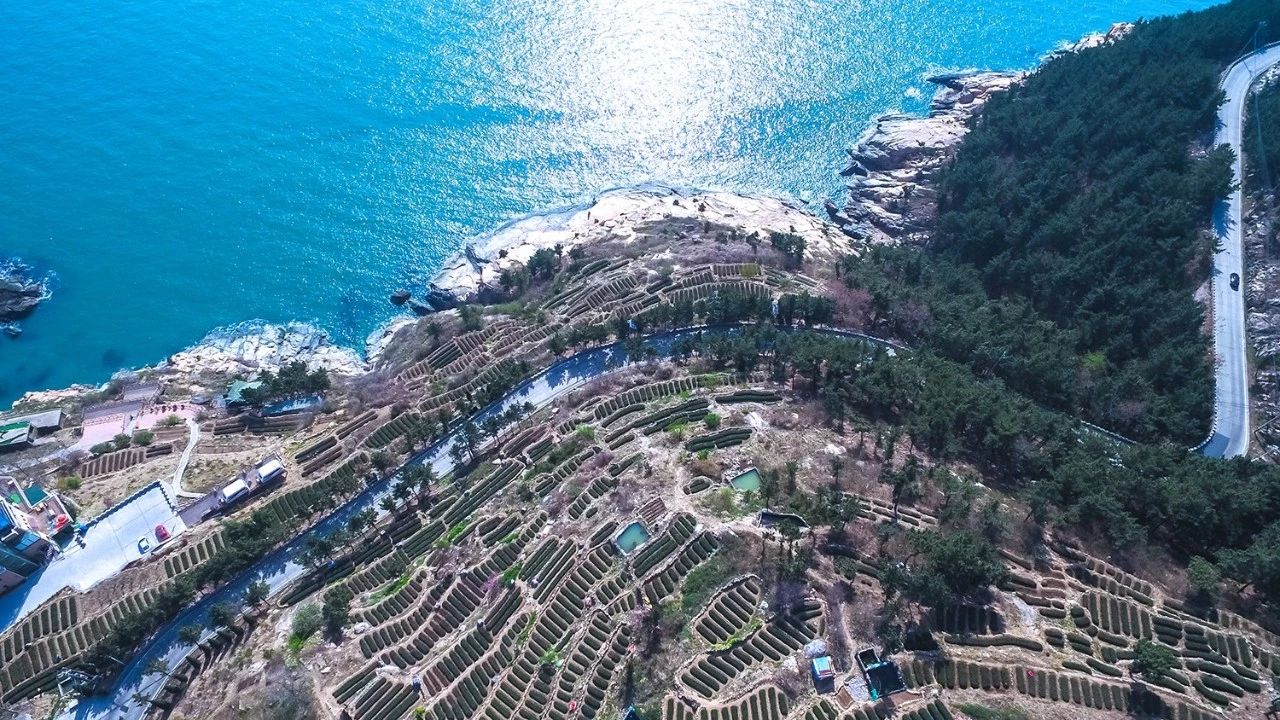 青島·瑞宿海棲，等你來就讓瑞宿帶你環游青島