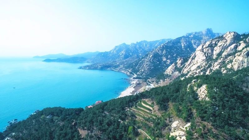 青島·瑞宿海棲，等你來就讓瑞宿帶你環游青島