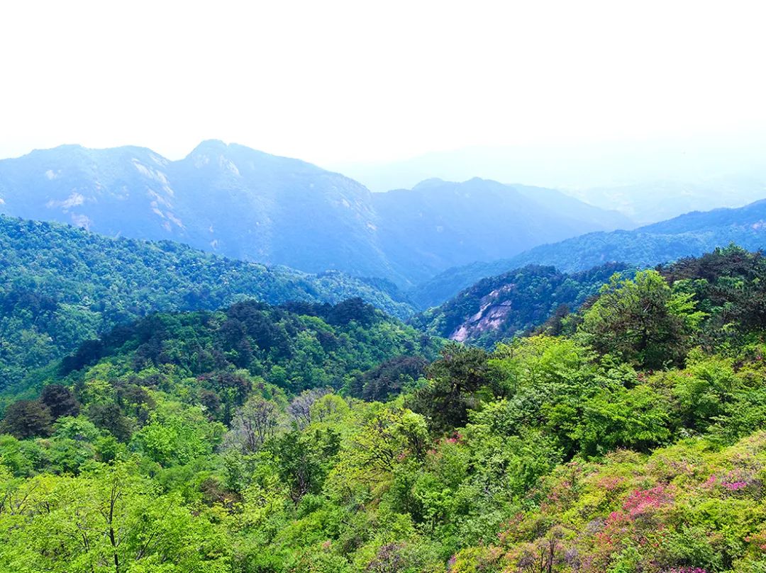 麻城·云夢如故，山里的房子就該有山里的味道
