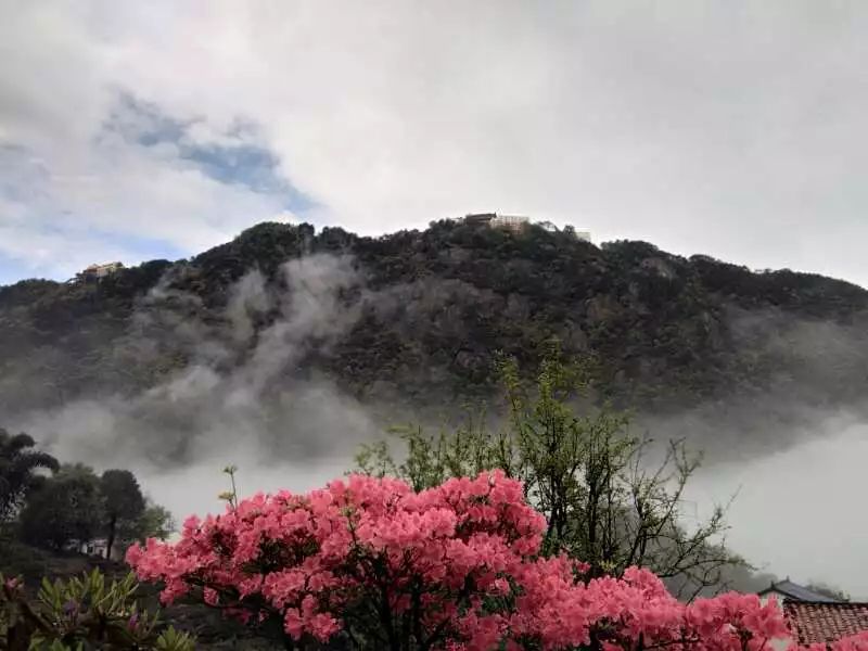 九華山·開(kāi)元美途，置身俗塵外身心天地寬