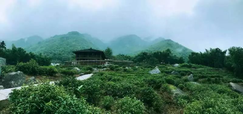 九華山·開(kāi)元美途，置身俗塵外身心天地寬