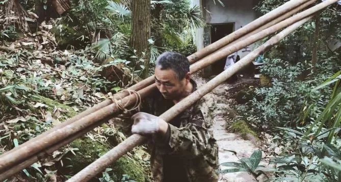 成都·坐忘森林，一宿一悟在火鍋之城住森林里