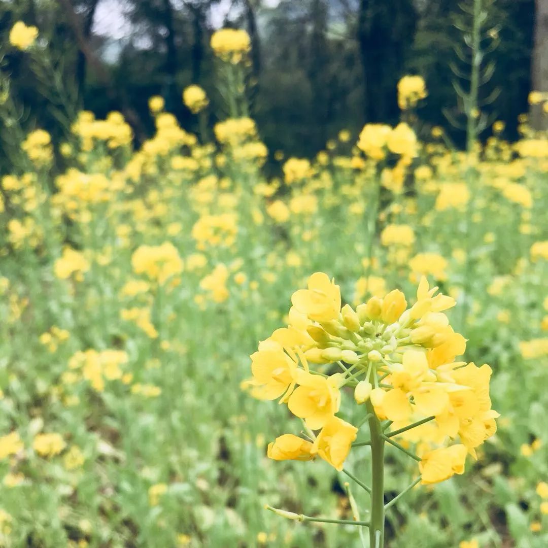 莫干山·梵谷，回歸自然的日子才是最難得
