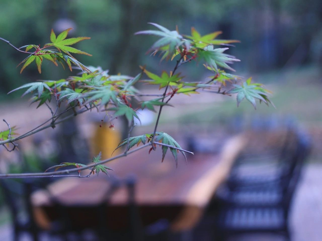 莫干山·梵谷，回歸自然的日子才是最難得