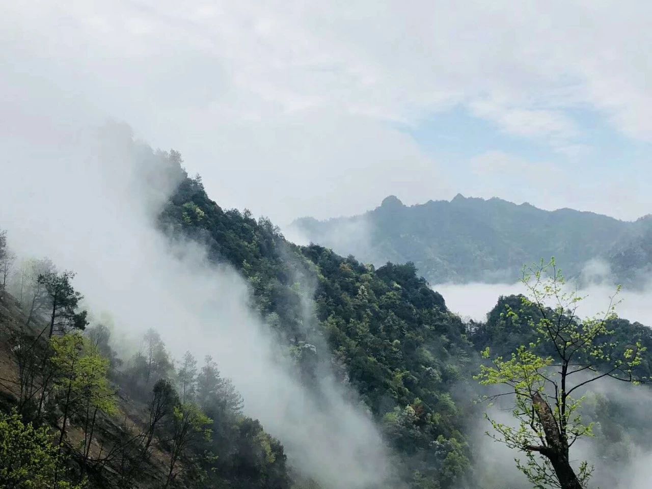 貴州·群山之心，因為夢想所有辛勞皆喜悅