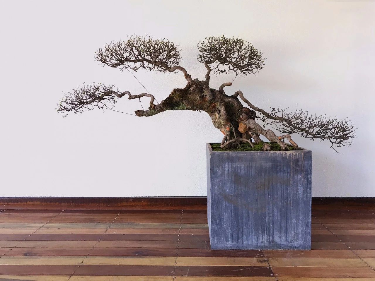 杭州·化城壹處，坐落在化城寺的佛元素里