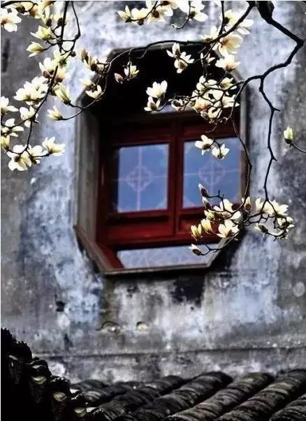 中式古窗：賞一窗花開(kāi)盼一世安好