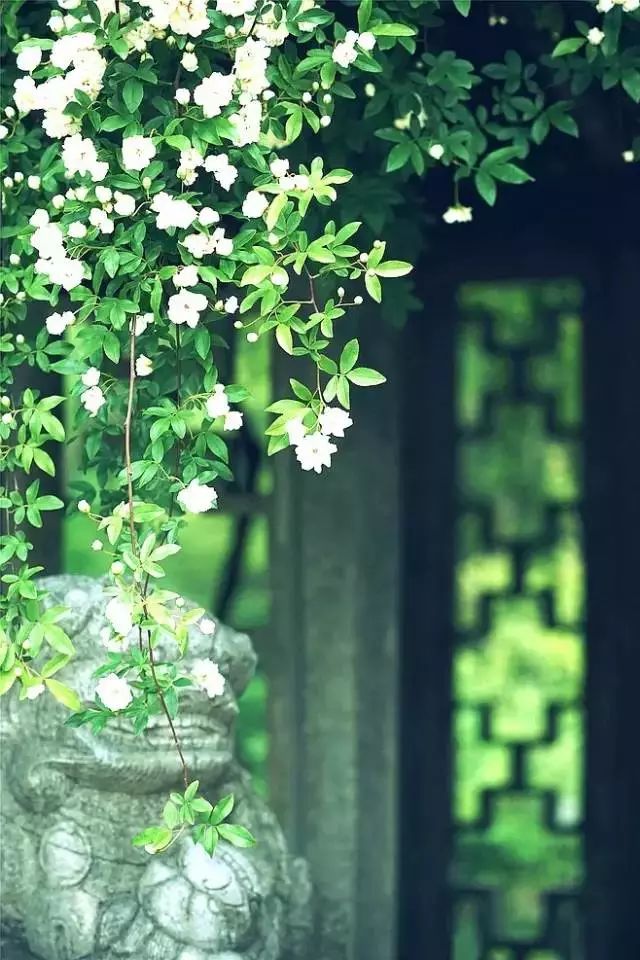 中式古窗：賞一窗花開(kāi)盼一世安好