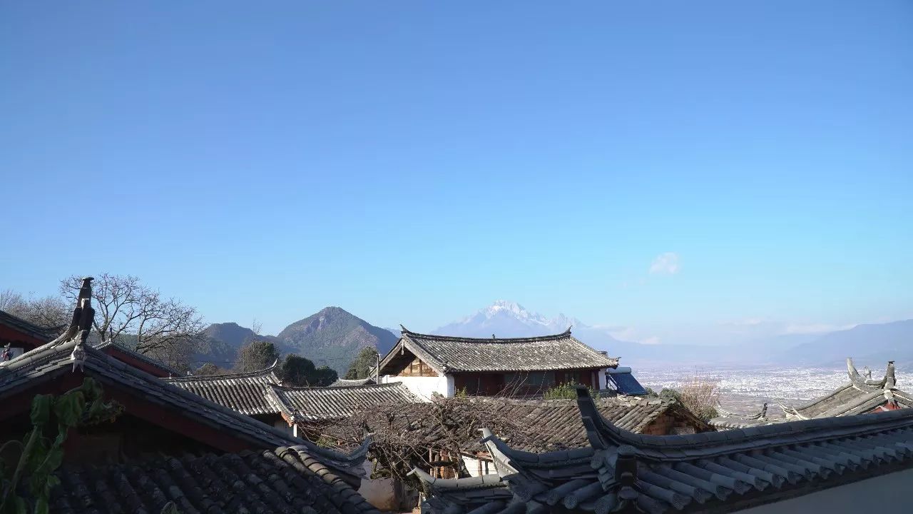 麗江·靈凈山舍，一花一木一世界！