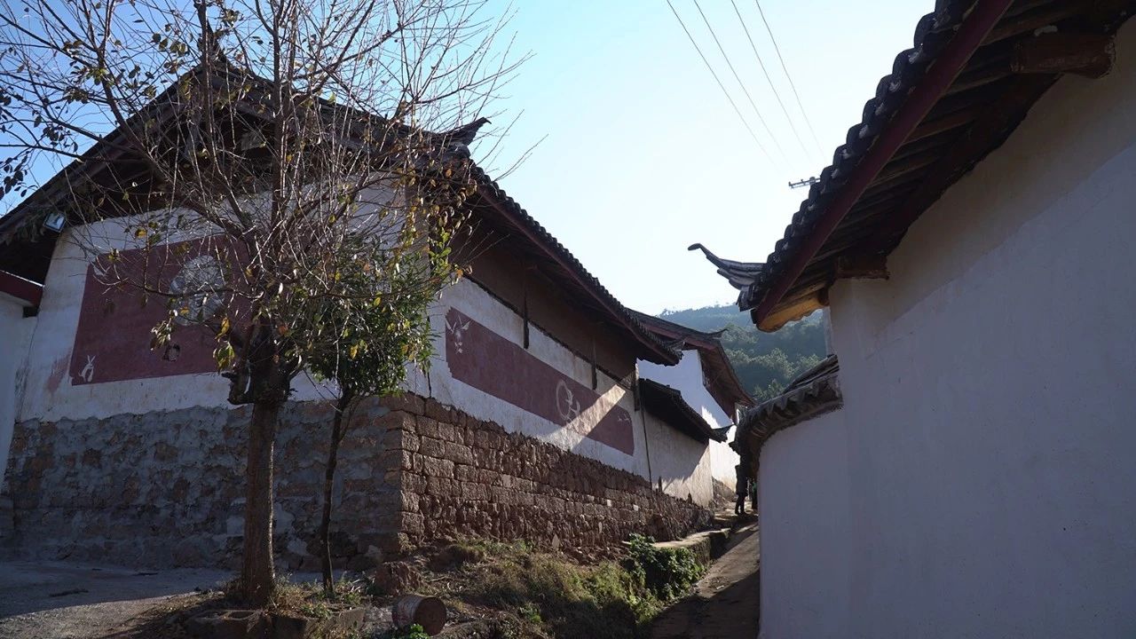 麗江·靈凈山舍，一花一木一世界！