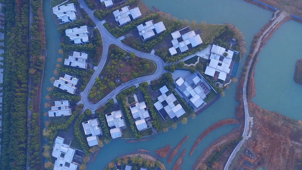 中香界·上海別院，萬水千山總是情！