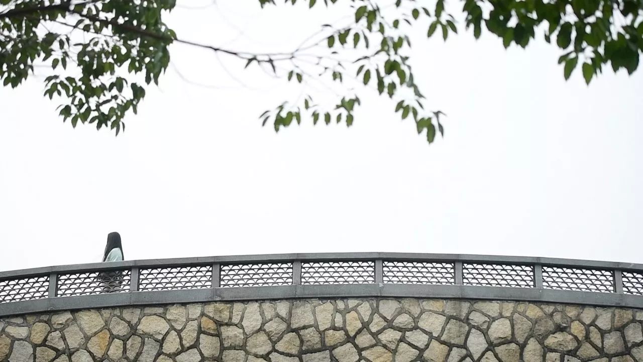 中香界·上海別院，萬水千山總是情！