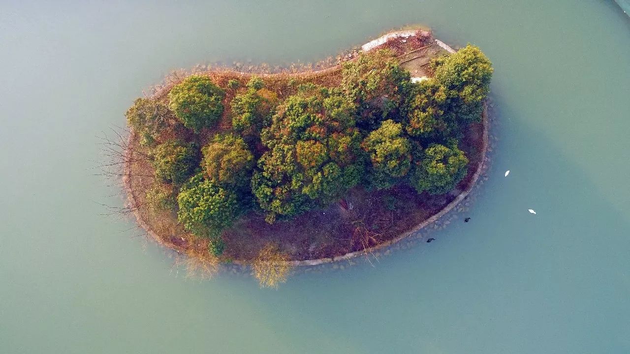 中香界·上海別院，萬水千山總是情！