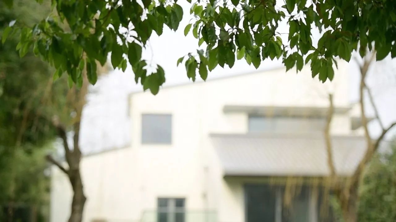 中香界·上海別院，萬水千山總是情！