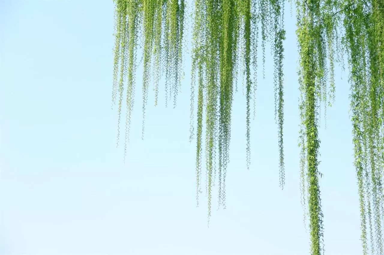 中香界·上海別院，萬水千山總是情！