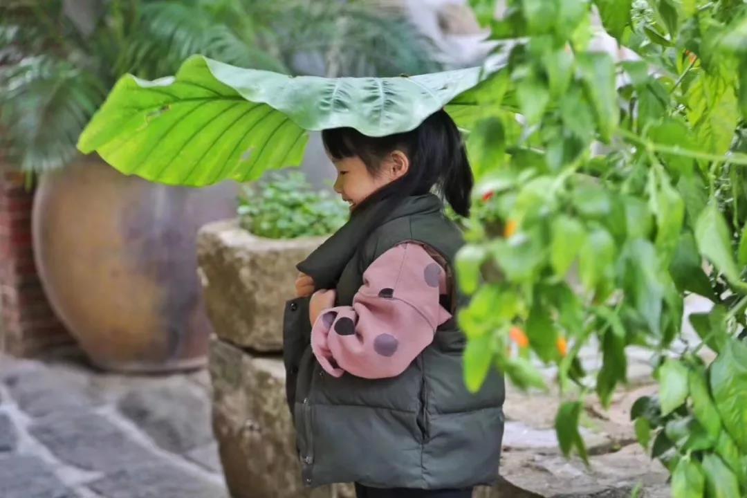 古山重水云間，細水長流吸引你
