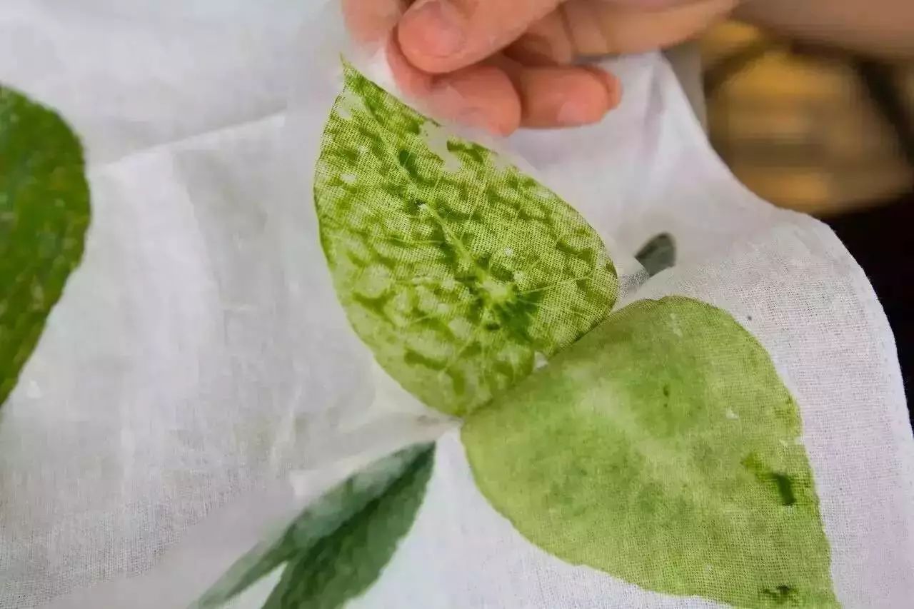 松陽·蔦舍，江南秘境里最溫暖的落腳處