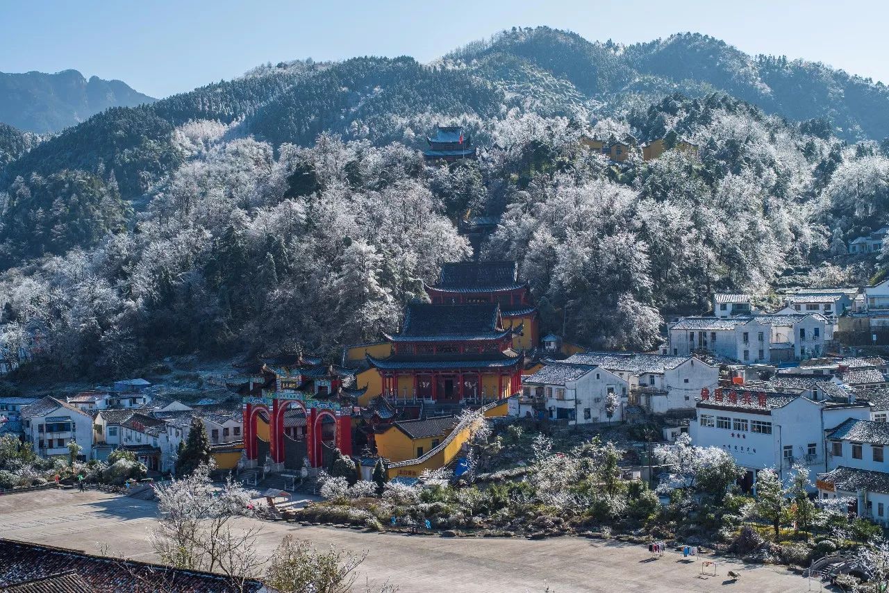 九華山·清竹里，延續(xù)和分享茶文化禪文化