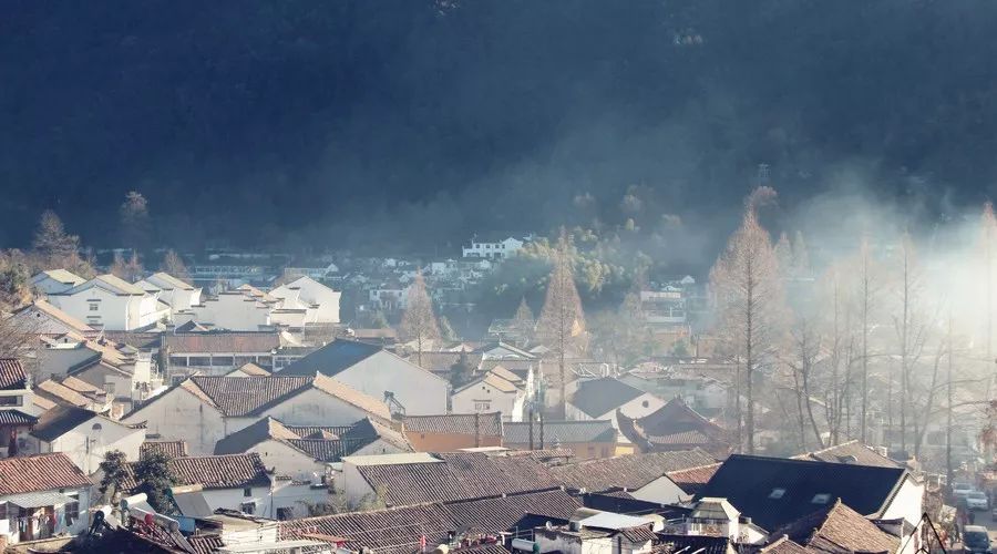 九華山·清竹里，延續和分享茶文化禪文化