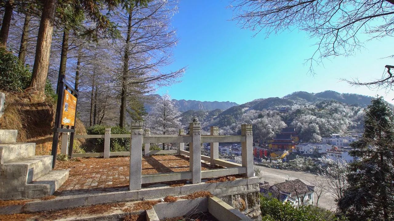 九華山·清竹里，延續和分享茶文化禪文化