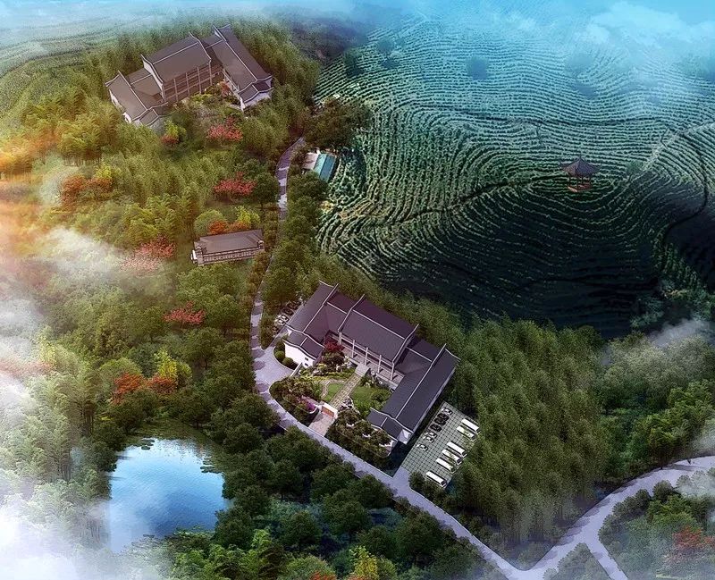 九華山·清竹里，延續和分享茶文化禪文化