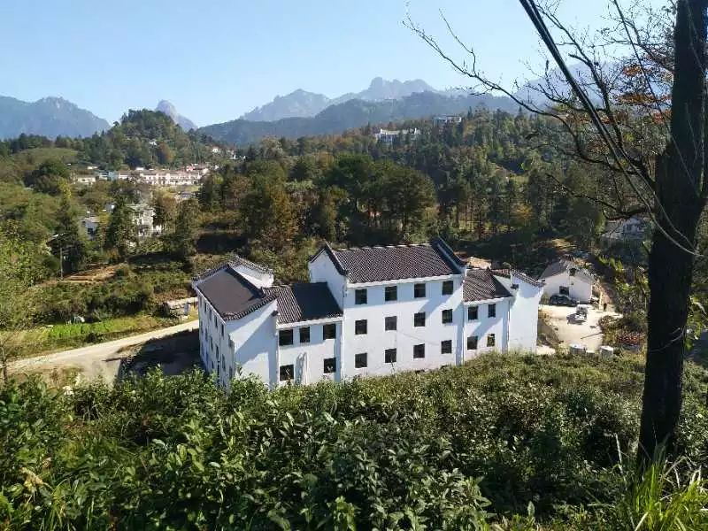 九華山·清竹里，延續和分享茶文化禪文化