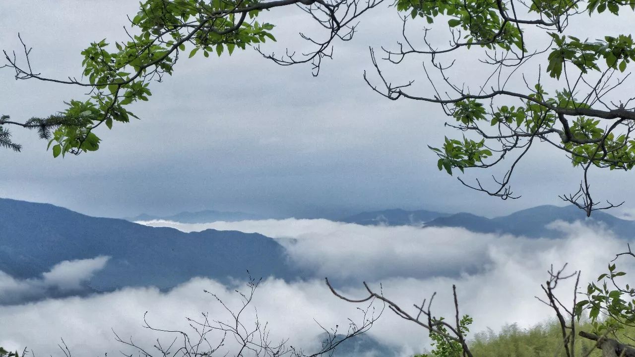 杭州·菩提谷，與你一起私有群山秘境