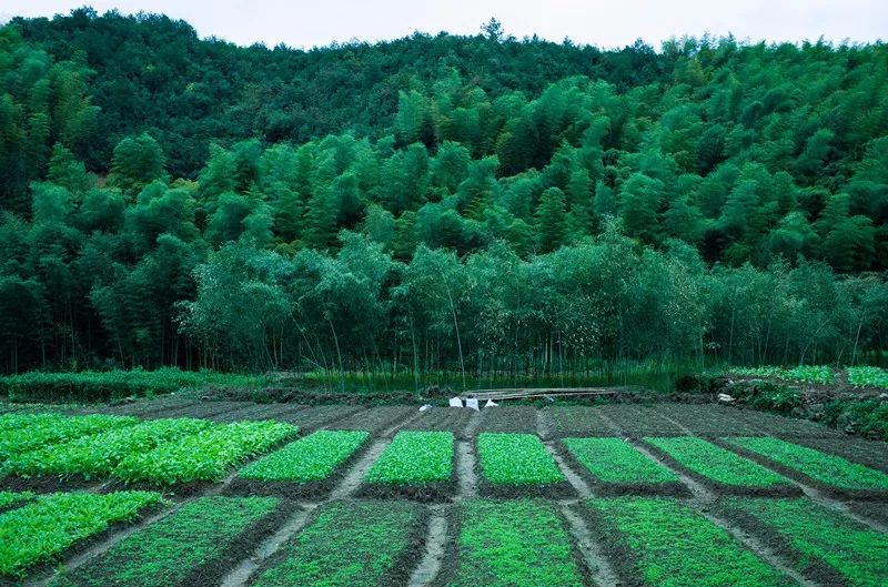 杭州·菩提谷，與你一起私有群山秘境