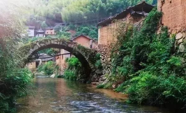 麗水·曼山居，依山而居便不知人間是何夕