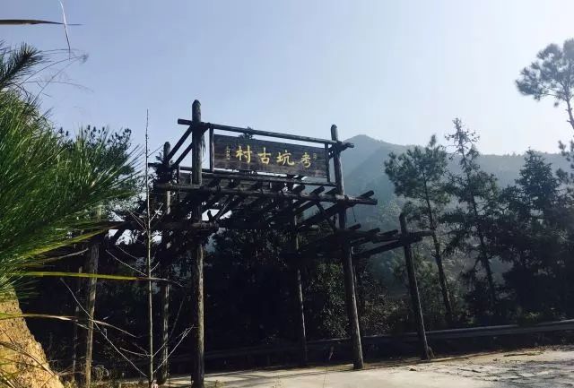 麗水·曼山居，依山而居便不知人間是何夕