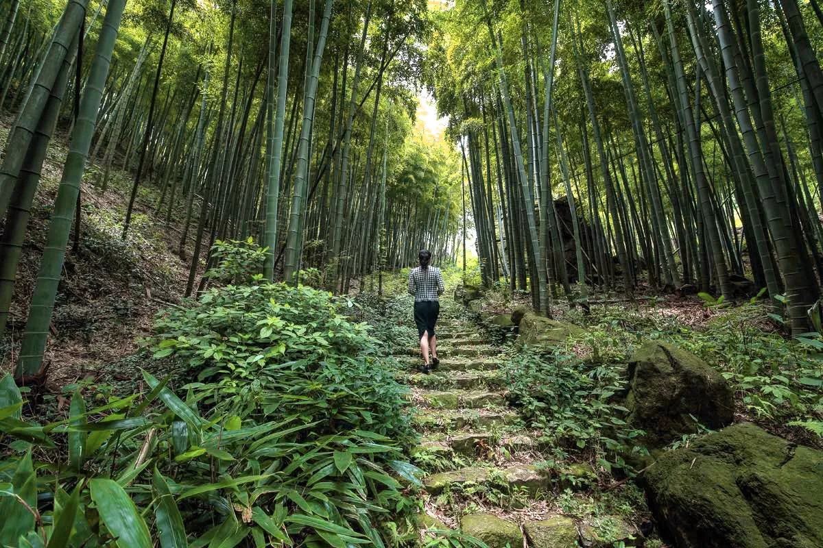 莫干山·宿里，一處桃花源建一處詩意棲居之所