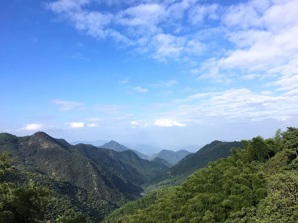 杭州·蓮社溪客，不妥協(xié)的人生才比較有趣