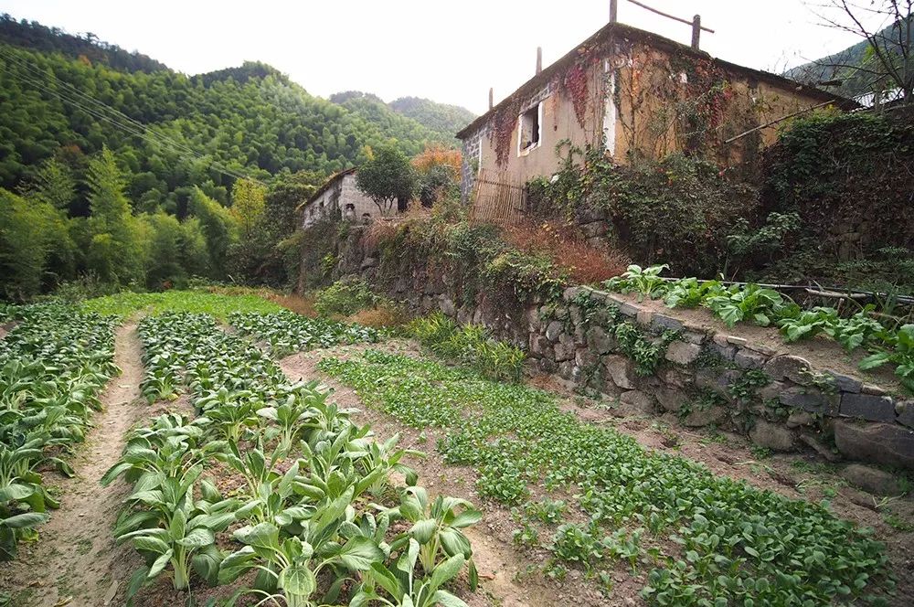 杭州·蓮社溪客，不妥協(xié)的人生才比較有趣