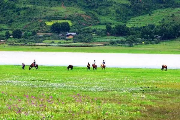 麗江束河·雲山南,相愛真的是一種奇跡