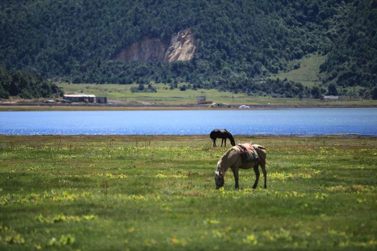 麗江束河·雲山南,相愛真的是一種奇跡