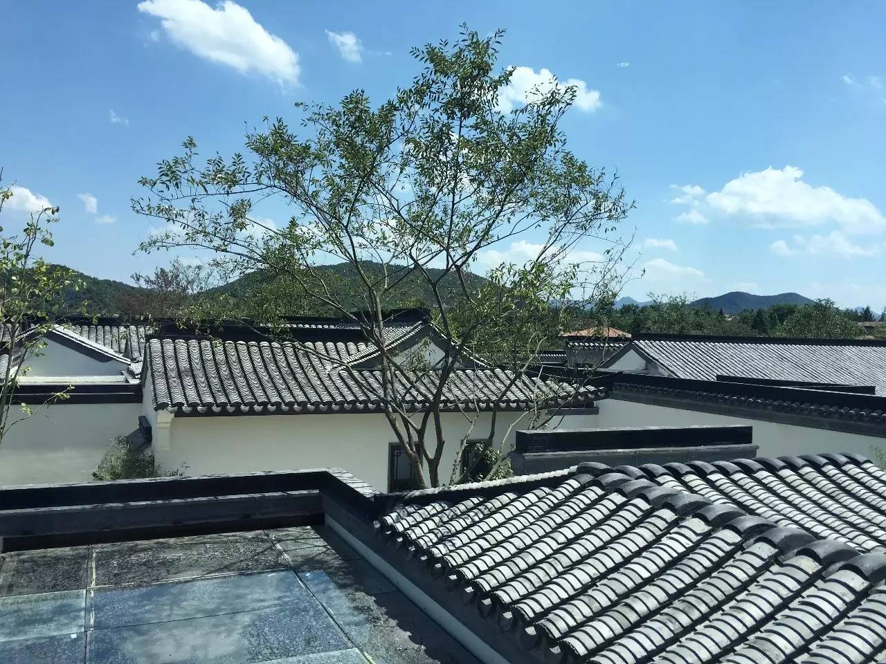 10所綠城·中式宅院，何必羨“西風”中式乃最美