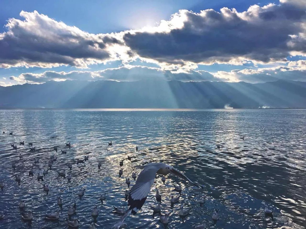 大理慢境·海景藝術客棧，海邊的微風陽光