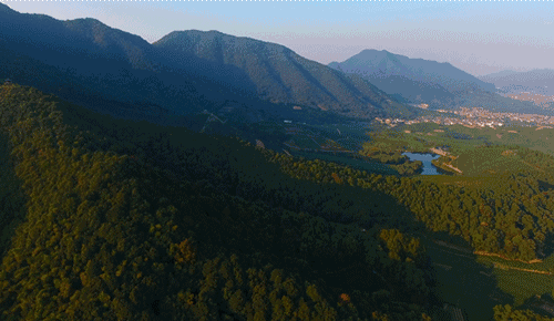 杭州·長(zhǎng)鏡頭，一所電影時(shí)光主題民宿
