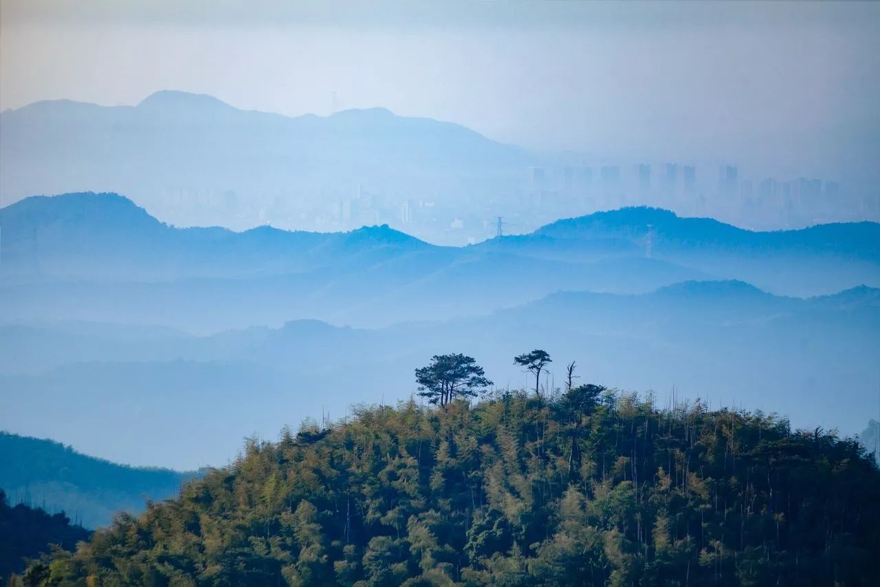 莫干山·三秋美宿，一日不見三秋盼兮