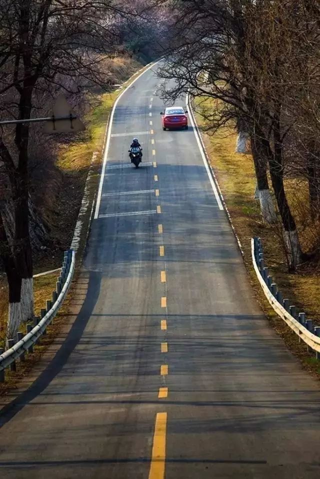 北京·山楂小院，留住最土的鄉味和溫暖的人心