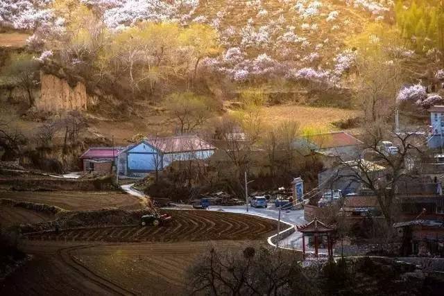 北京·山楂小院，留住最土的鄉味和溫暖的人心