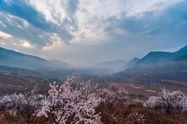 北京·山楂小院，留住最土的鄉味和溫暖的人心