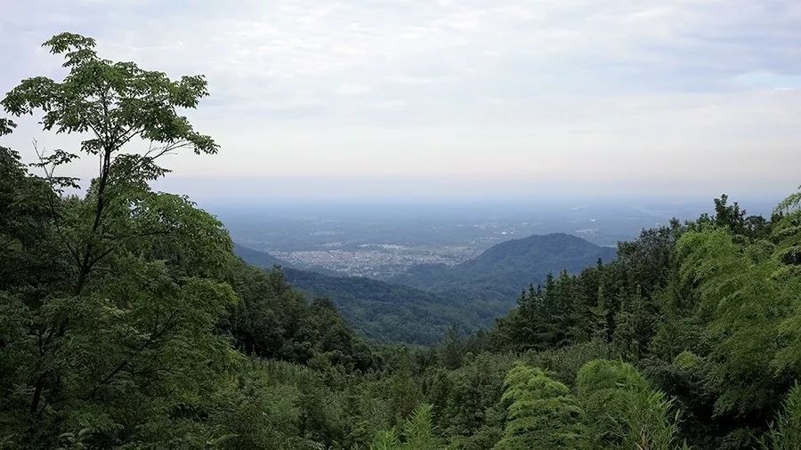 青城山·路之青城，山溝里的豬圈民宿