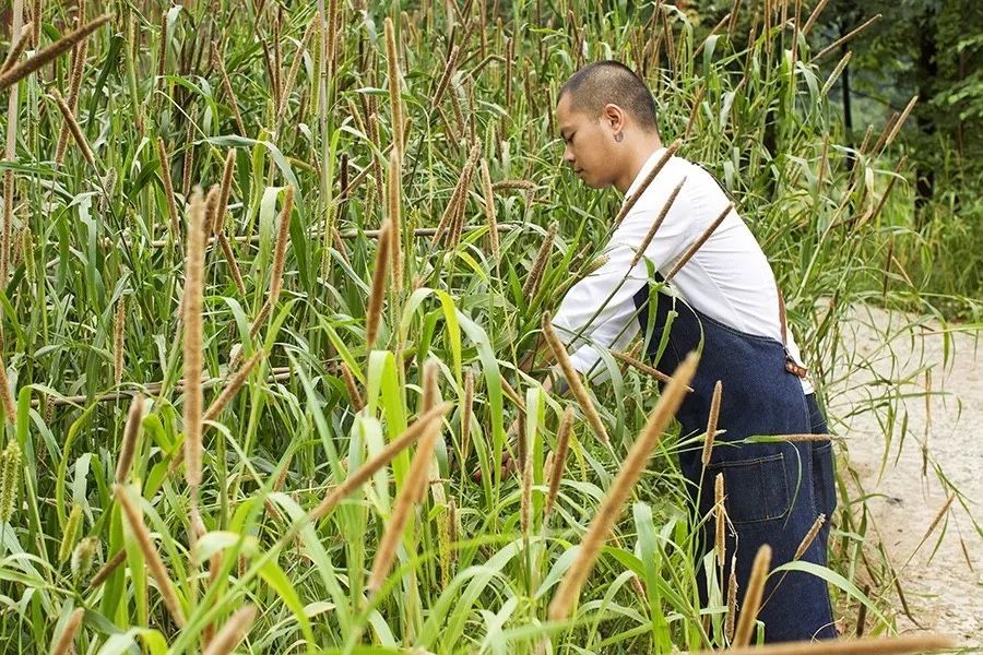 青城山·路之青城，山溝里的豬圈民宿