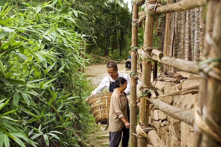 青城山·路之青城，山溝里的豬圈民宿