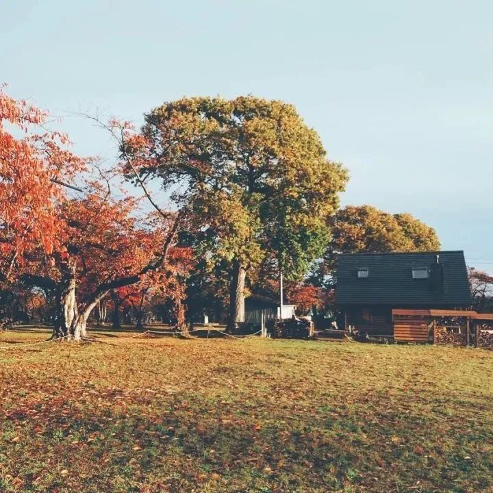 北海道的海濱小鎮，一家四口的日子才最幸福
